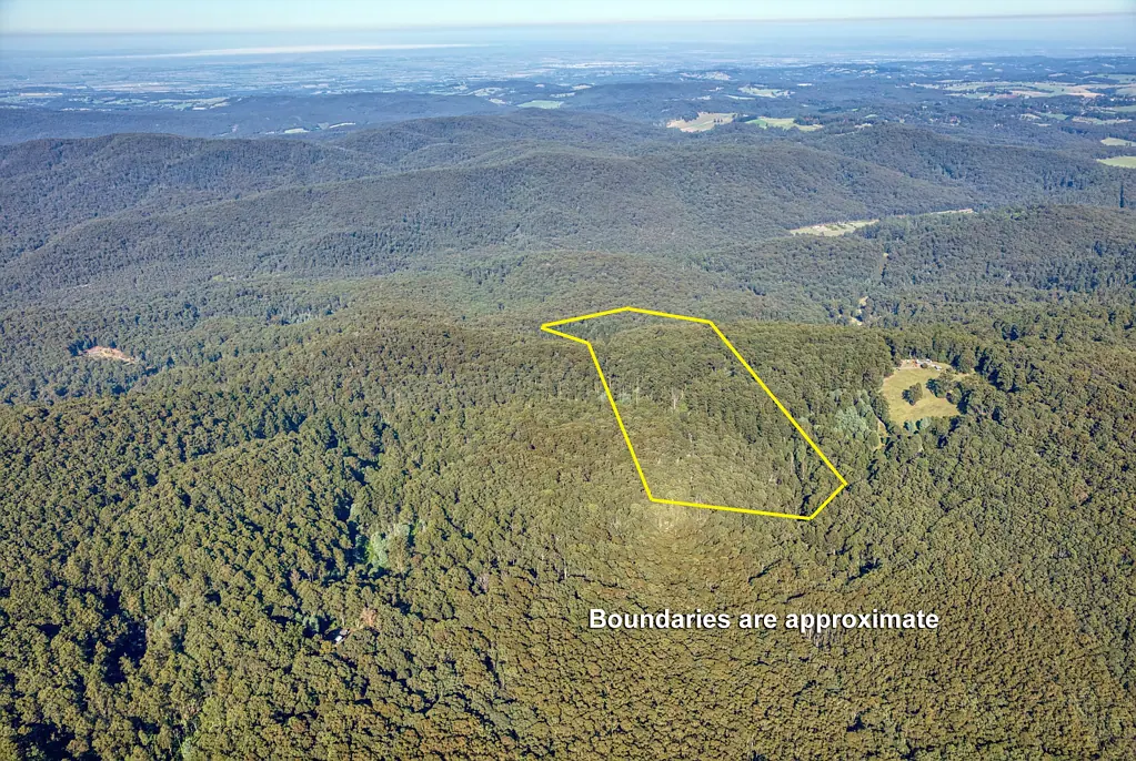 Gembrook Over 100 Acres of Gorgeous Bush to Enjoy!