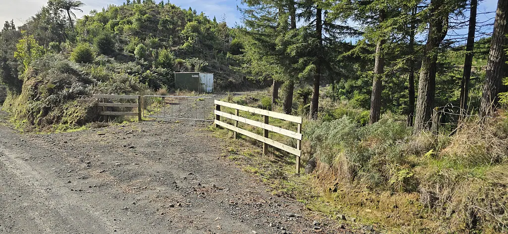 Stratford 29.95 ha Forestry investment opportunity
