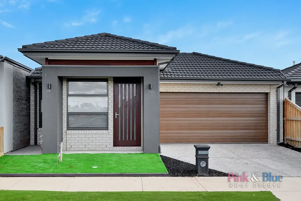 Stunning & Beautiful 4 Bedroom Brand New Family Home For RENT!