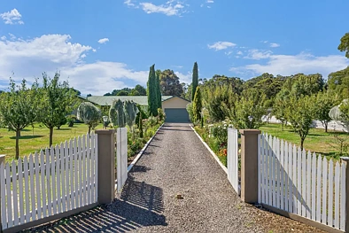 Lyonville 3房  Superbly Presented Property - Bonus Bed Sitter