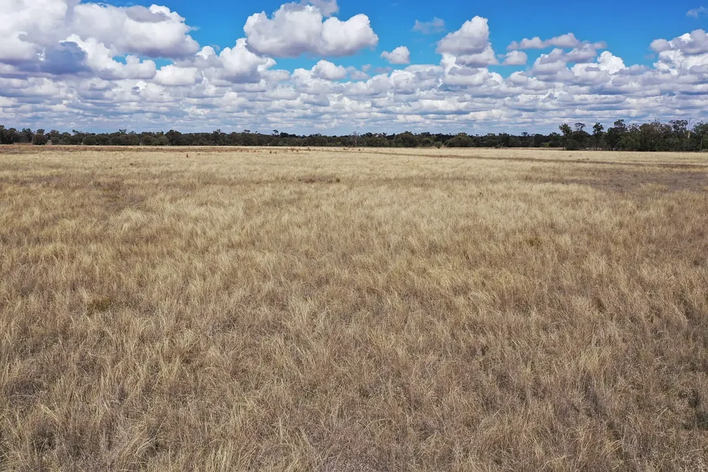 Wallumbilla "Mac's Paddock" - 54Ha Vacant Land 13km North of Wallumbilla
