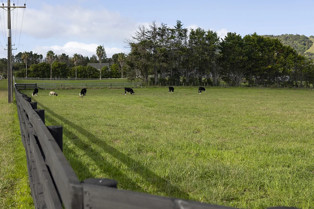 Kaitaia Premium Lifestyle in a Most Desirable Location!