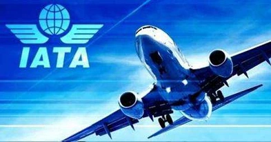 IATA为“英美航空禁令”发愁 新西兰不会受到太大影响