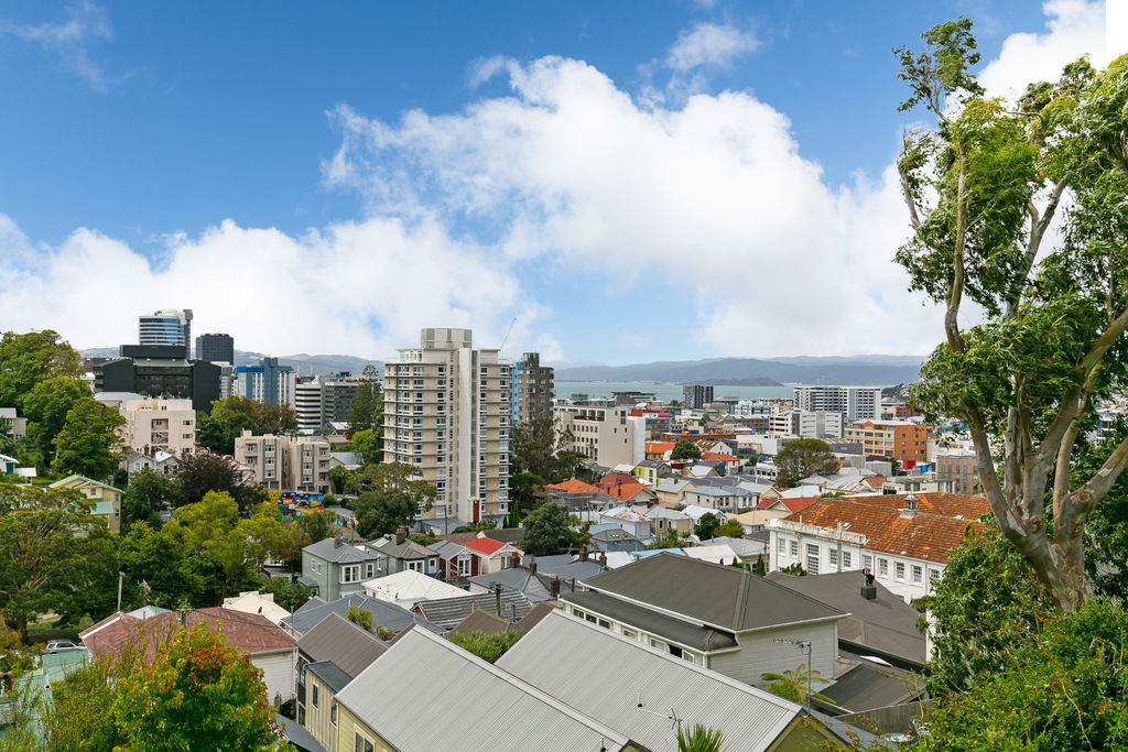 1a/20 Maarama Crescent, Aro Valley, Wellington, 1房, 1浴