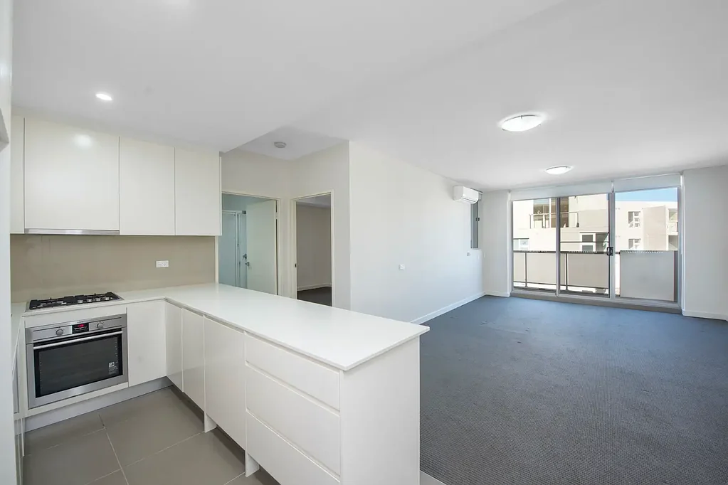 Luxury Apartment