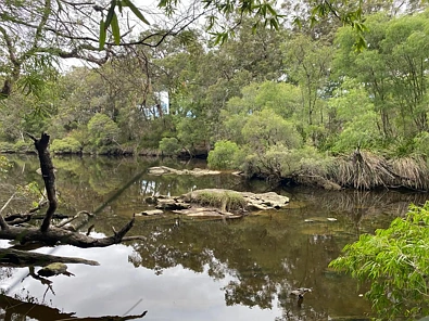 Kalgan 12 Acres Of Paradise!!