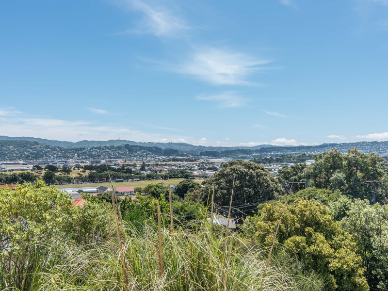 36 Kinghorne Street, Strathmore Park, Wellington, 3 rūma, 1 rūma horoi