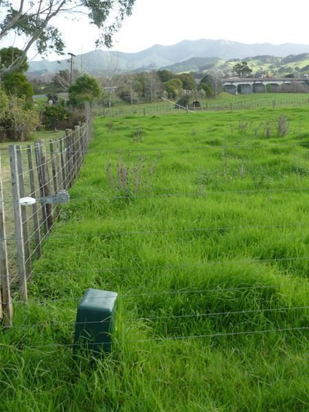 State Highway 14, Tangiteroria, Kaipara, 3房, 0浴