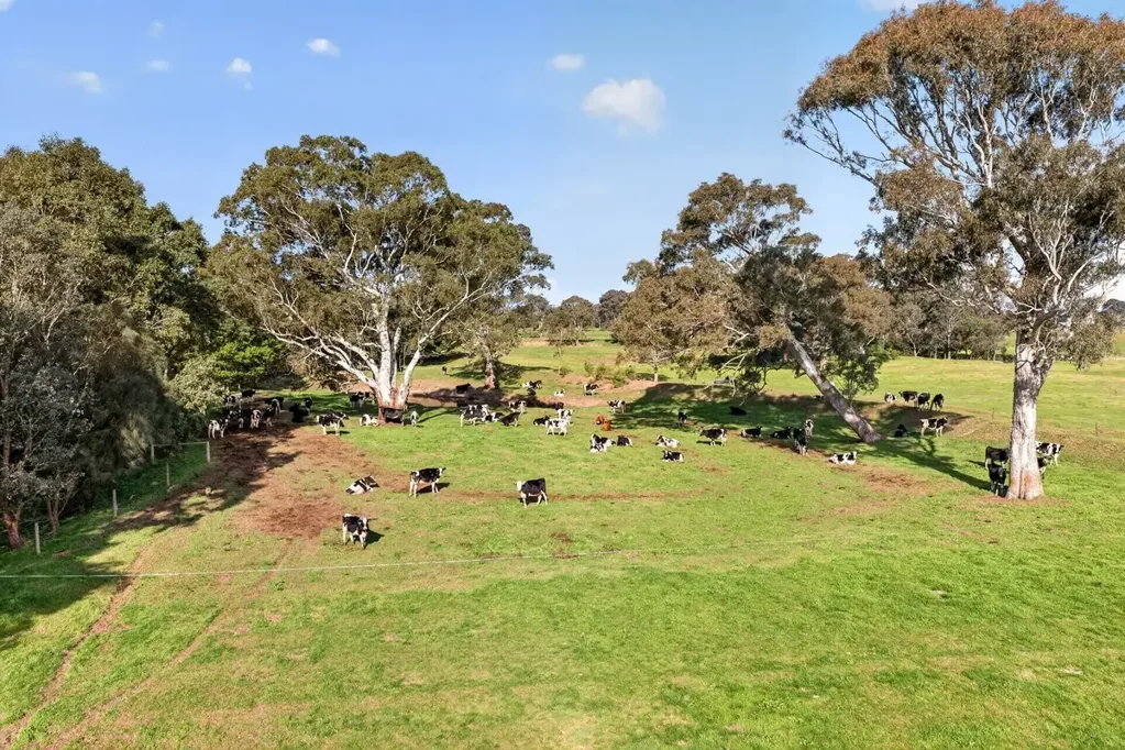 Maffra  Prime Irrigation Holding