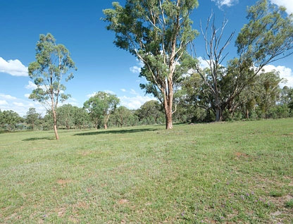 1380 Elsmore Road (Elsmore), Inverell, Tamworth, 0 ਕਮਰੇ, 0 ਬਾਥਰੂਮ, Lifestyle Property