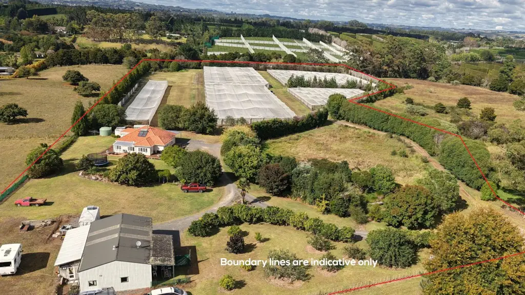 Kerikeri 3房  A Beautiful Home And A Berry Good Income