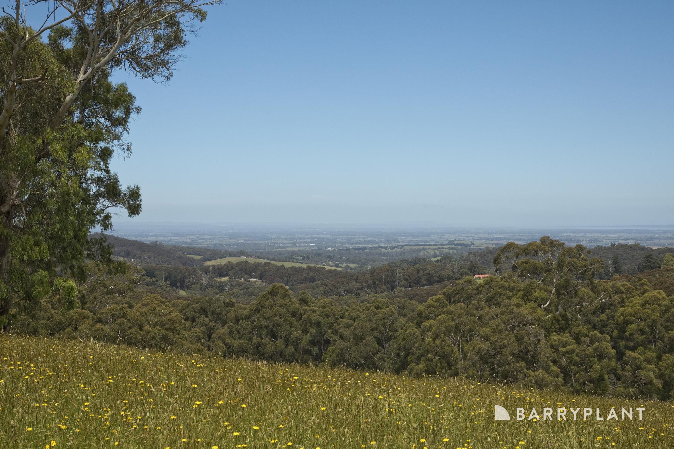 230 MT EIRENE RD, GEMBROOK VIC 3783, 0 chambres, 0 salles de bain, Section