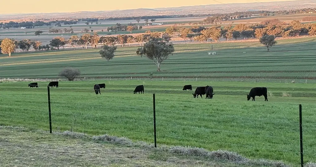 Inverell 4Zimmer 'Holmesview'  What a View!