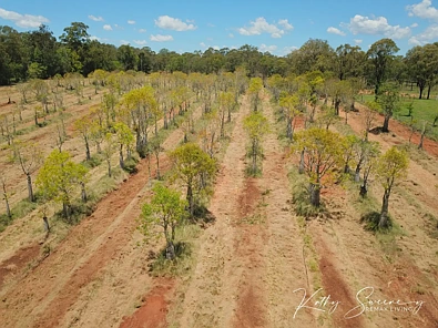 Adres Weerhou, Nanango, QLD 4615, 0 slaapkamers, 0 badkamers, Section
