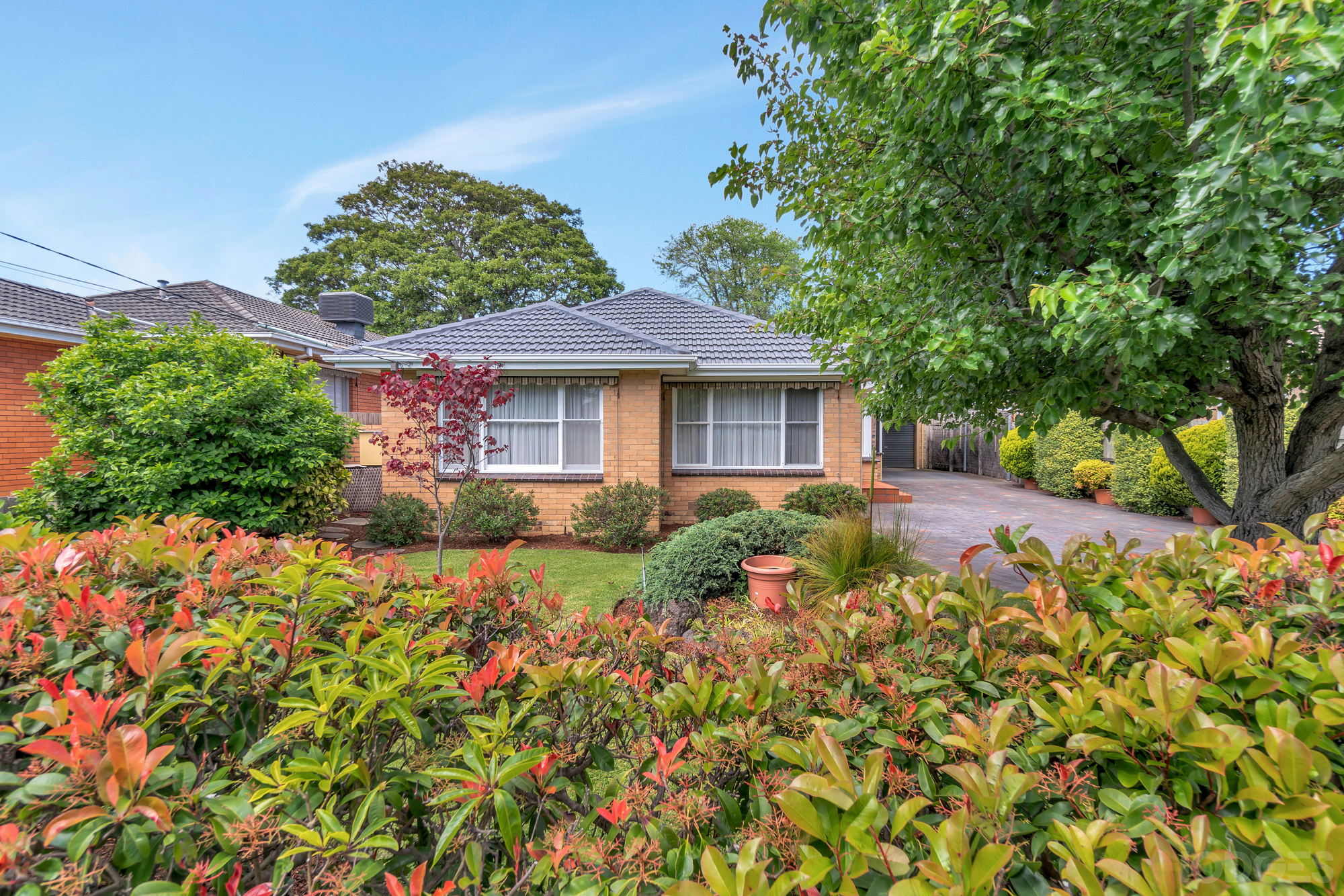 16 IVY ST, PARKDALE VIC 3195, 0房, 0浴, House