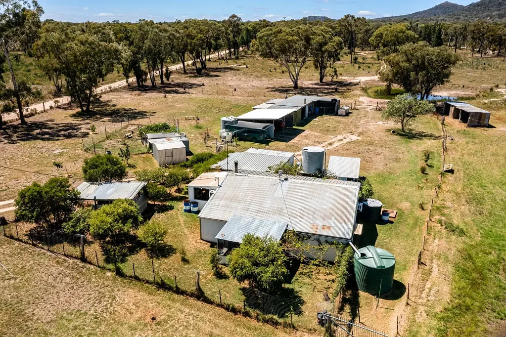 Mudgee Peaceful Rural Opportunity