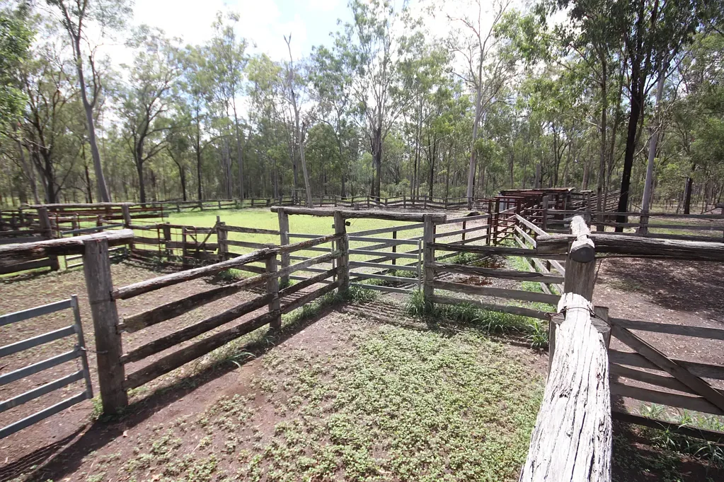 Mundubbera  Brovinia Breeder Country