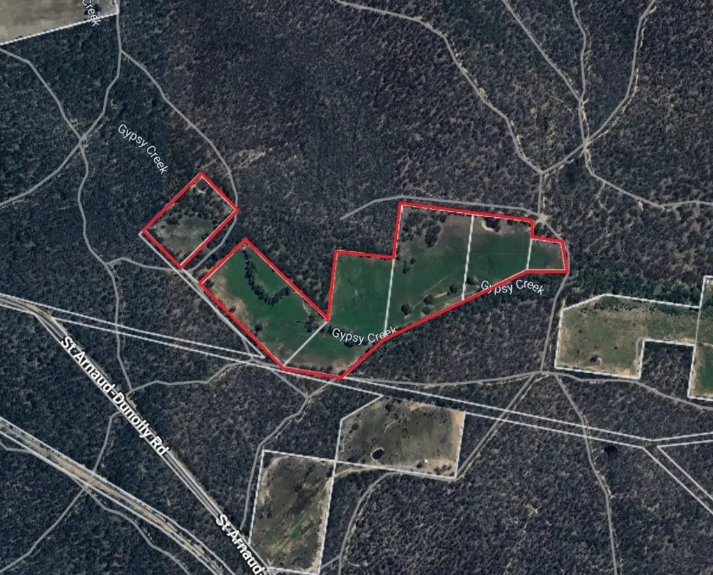 Bealiba Moliagul / Inkerman's District "Gypsy's"