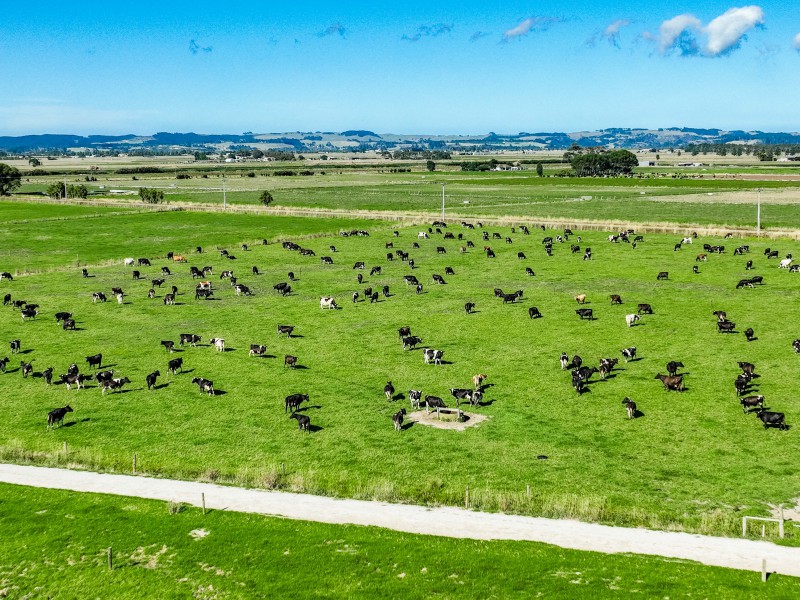 336 Wallace Road, Ruawai, Kaipara, 0 Schlafzimmer, 0 Badezimmer