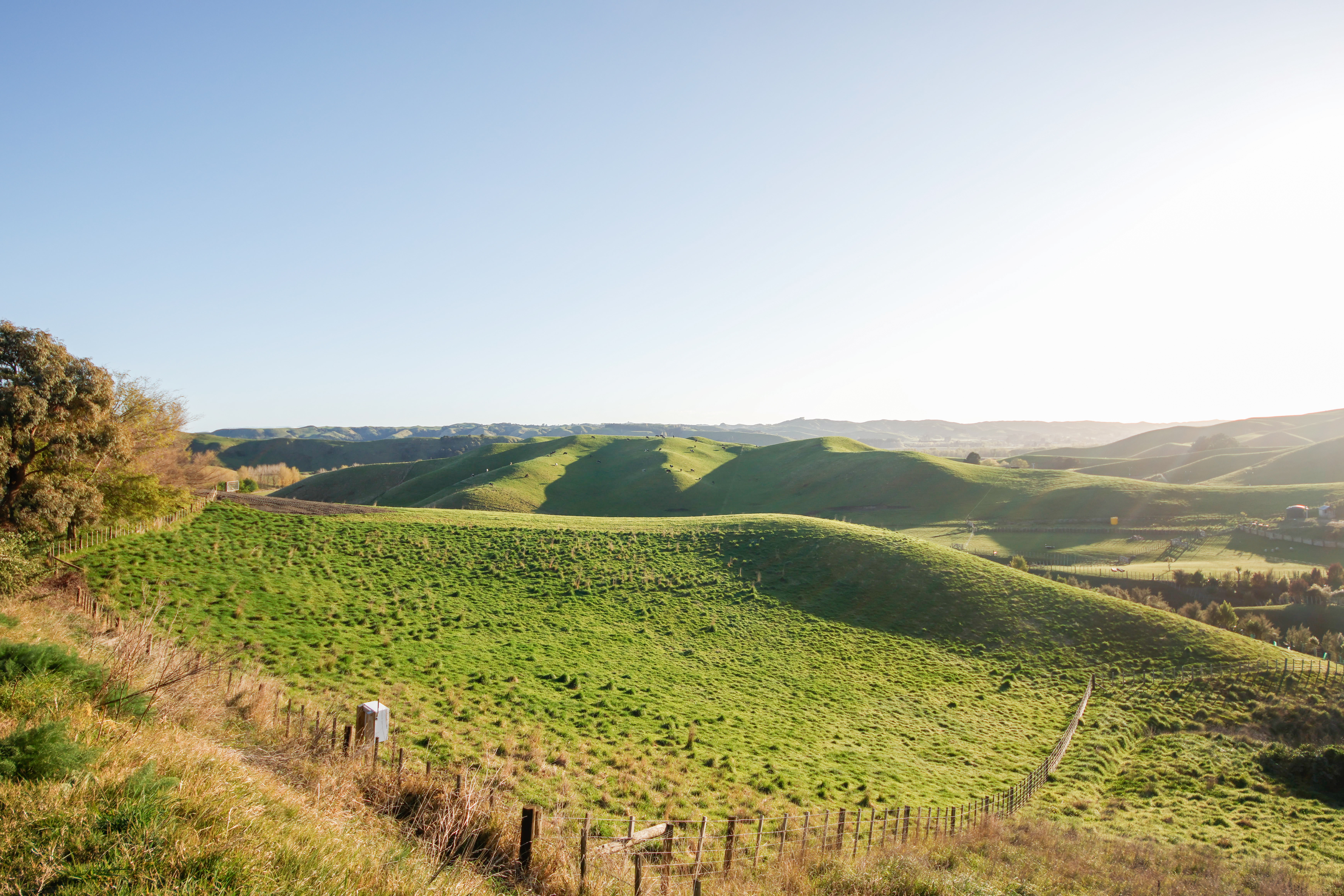 Kawera Road, Central Hawkes Bay Coastal, Hastings, 0 રૂમ, 0 બાથરૂમ, Lifestyle Section