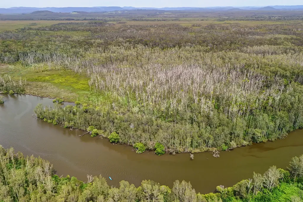 Nabiac Prime Acreage - Wallamba River