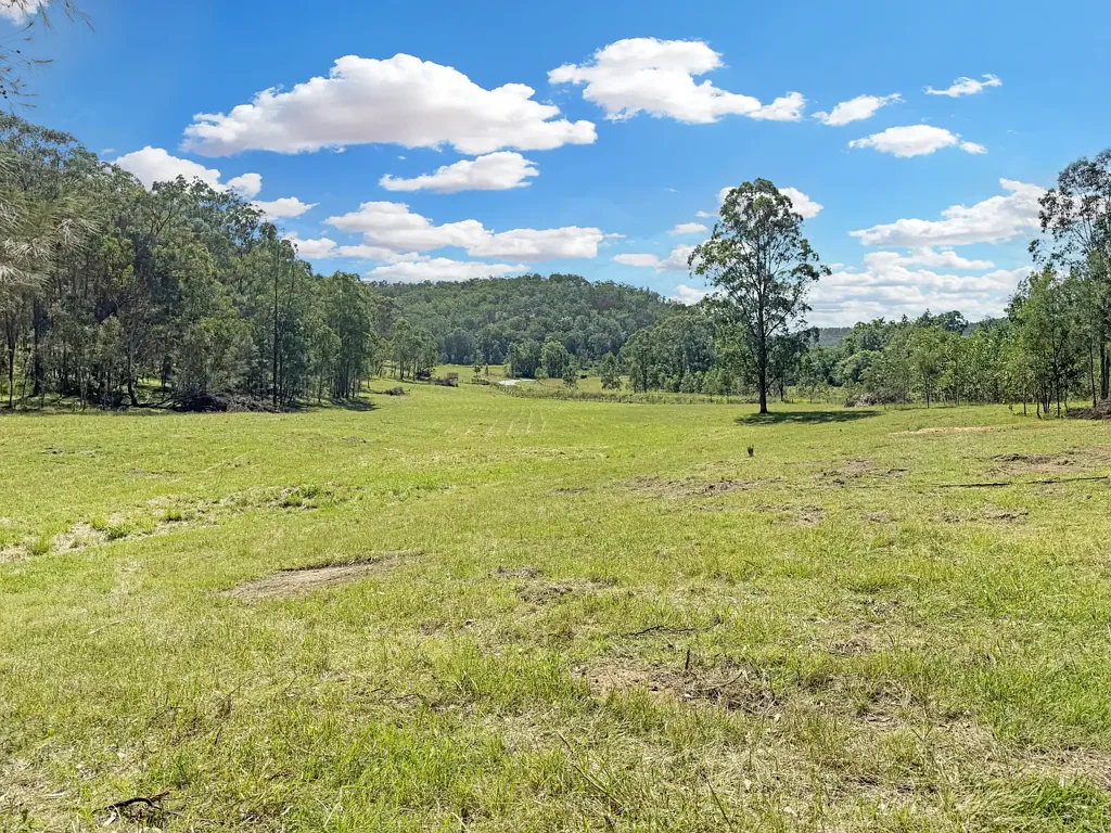 Wollombi  Diverse 88 Acres in a Prime Wollombi Location