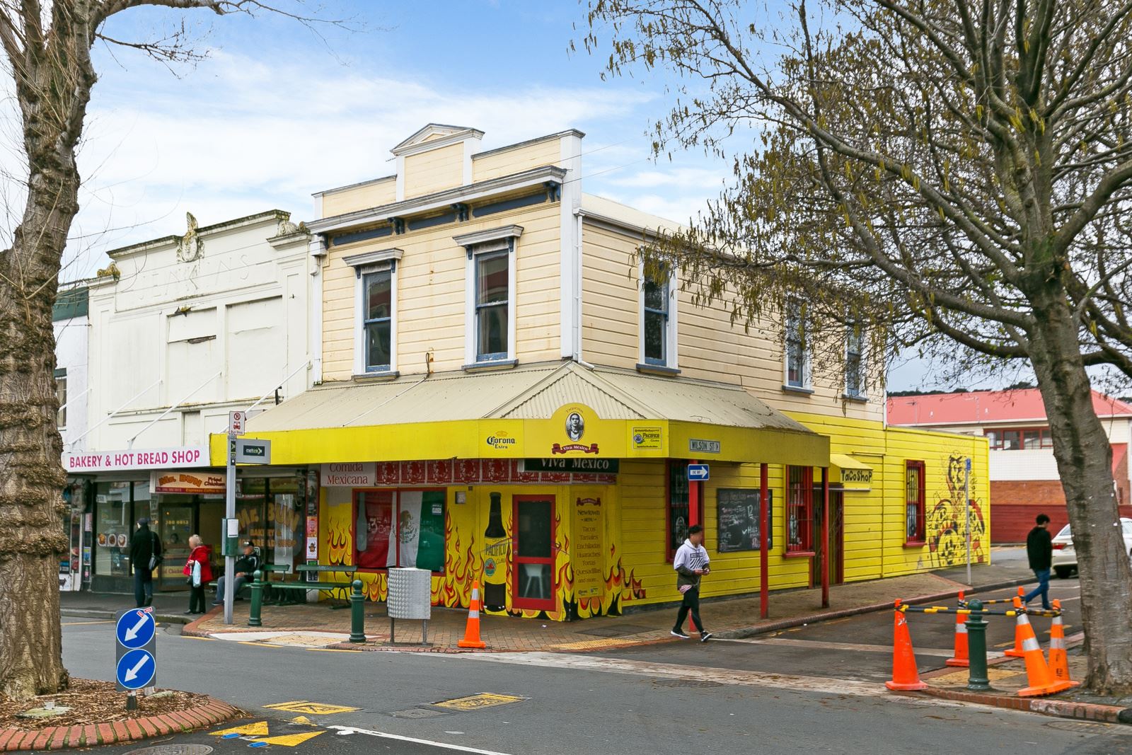 161 Riddiford Street, Newtown, Wellington, 0 침실, 0 욕실