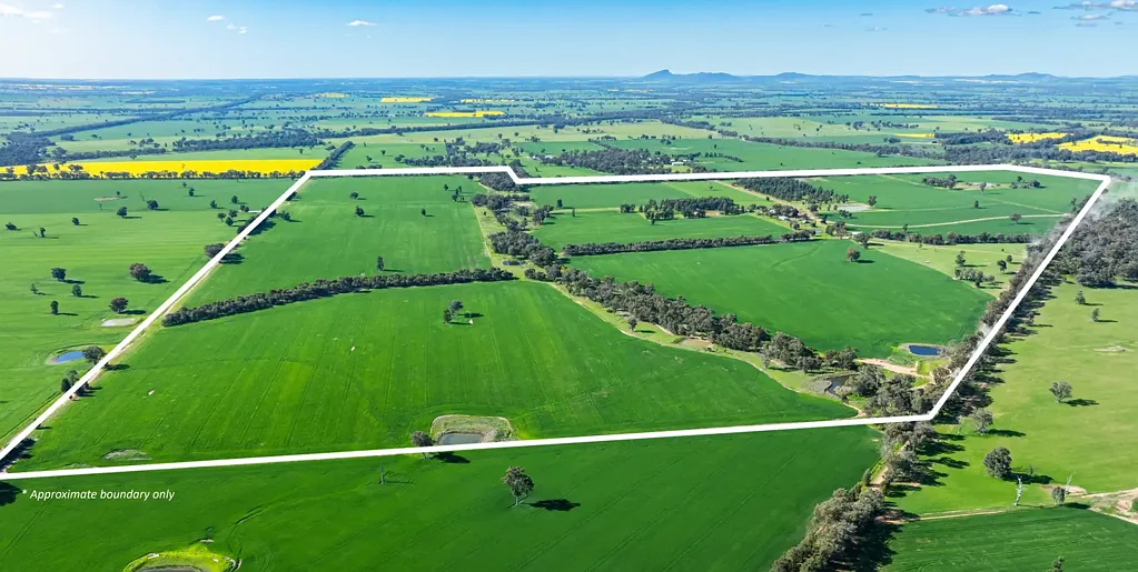 Henty VERSATILE MIXED FARMING PROPERTY