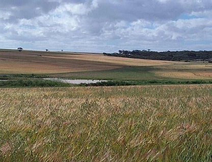 Lot 331 Aerodrome Rd, Ravensthorpe, Outback (South), 0房, 0浴, Lifestyle Property