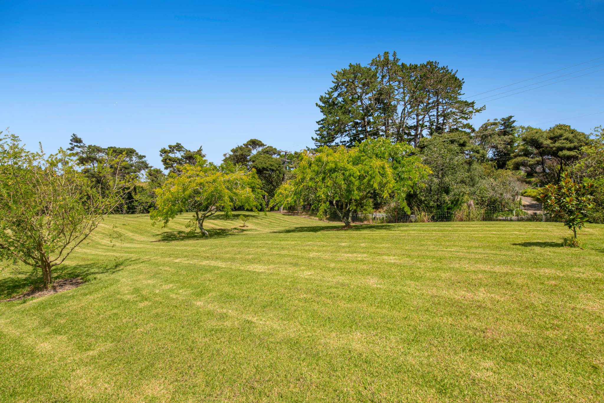 786 South Head Road, South Head, photo 11