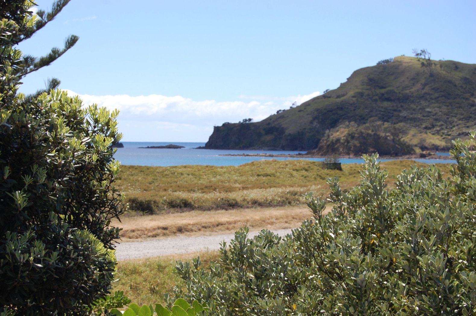 Hauraki Gulf Islands