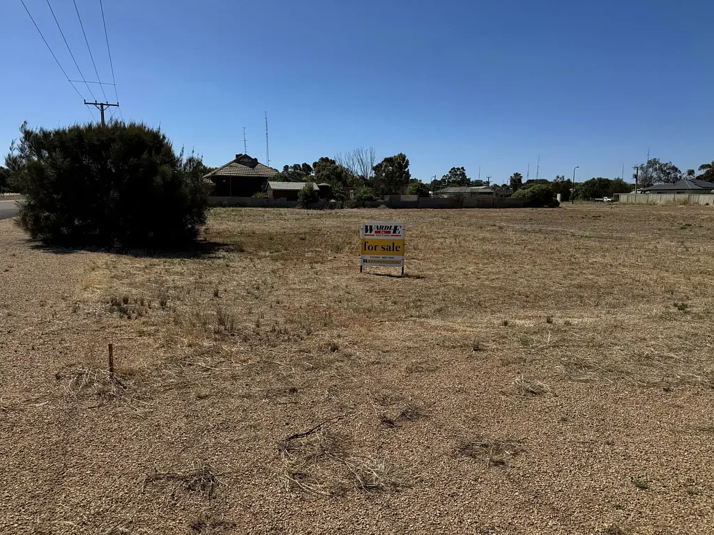 55 East Tce, Snowtown, SA 5520