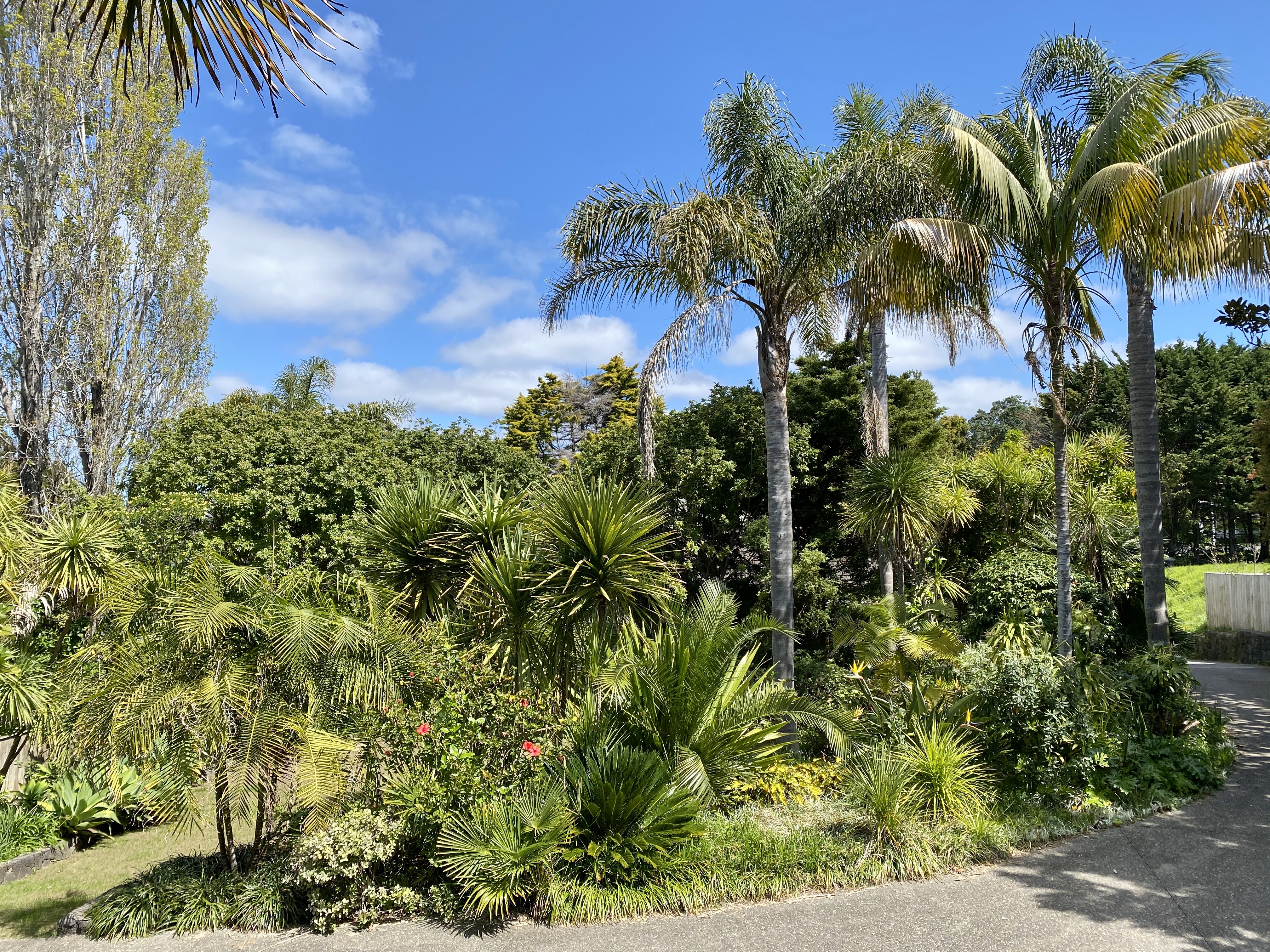 31 View Road, Campbells Bay, Auckland - North Shore, 6房, 3浴, House