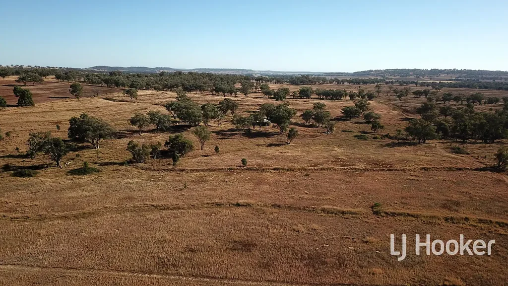 Inverell  'Bendage Farm' Gwydir Highway, Rob Roy NSW 2360