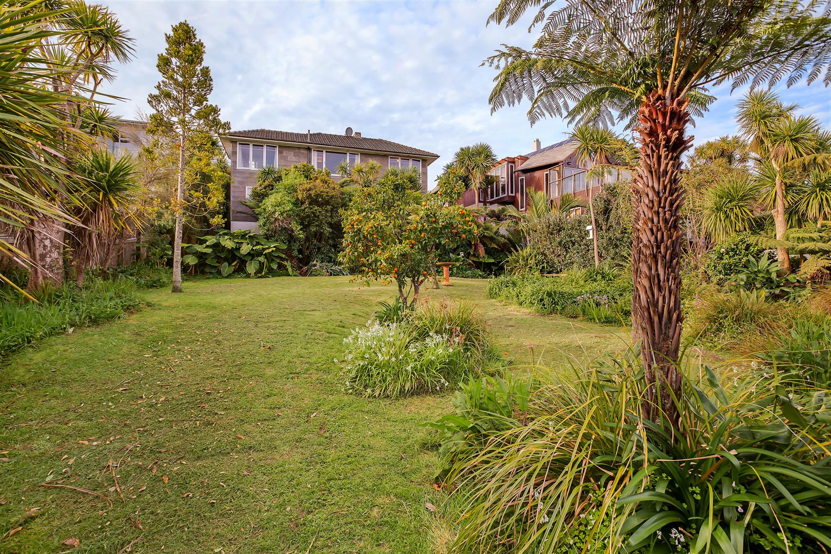 9 Clifton Road, Browns Bay, Auckland - North Shore, 5 phòng ngủ, 0 phòng tắm