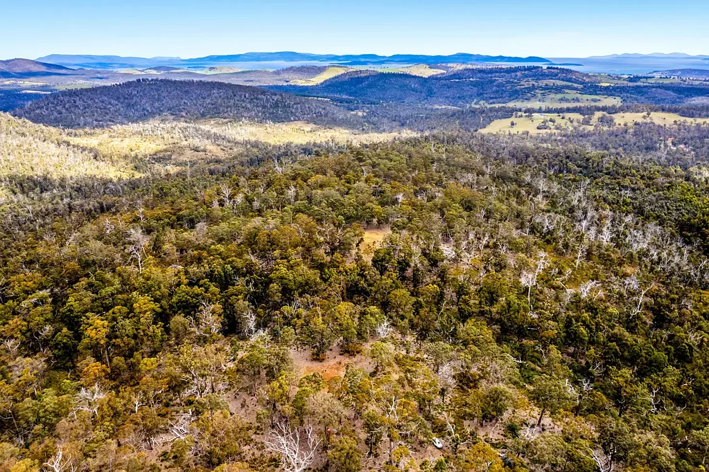 "Lindsays" White Hill Road, Forcett, TAS 7173