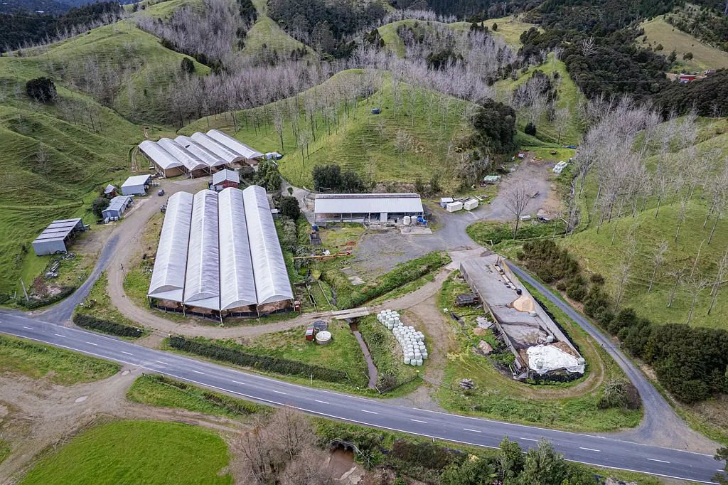 Whakapara Unique Lease Opportunity - Ex Goat Farm