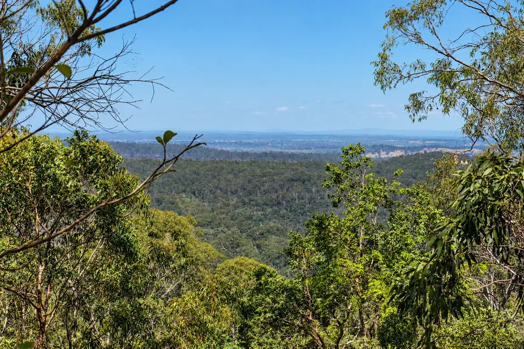 Hogarth Range DEEP IN THE JUNGLE
