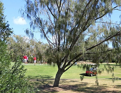 LOT 12/Beach Link Estate Hughes Road, Bargara, Wide Bay, 0 Schlafzimmer, 0 Badezimmer, Section