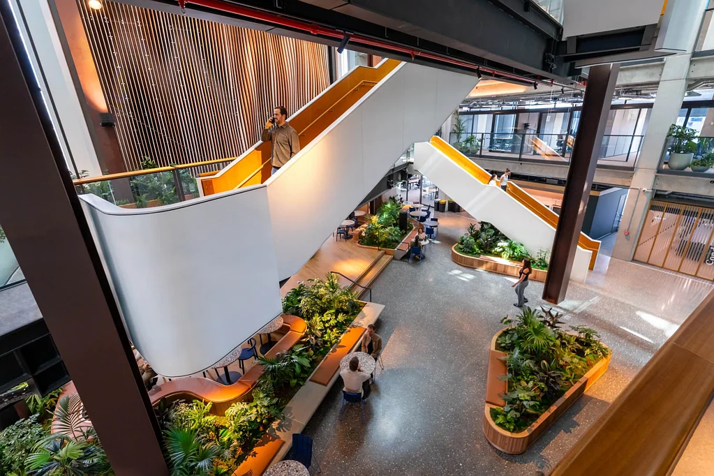 Takapuna BUILT FOR BUSINESS