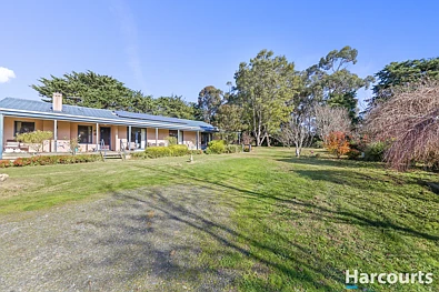 360 Old Drouin Road, Longwarry, VIC 3816, 3 Bedrooms, 2 Bathrooms, Lifestyle Property