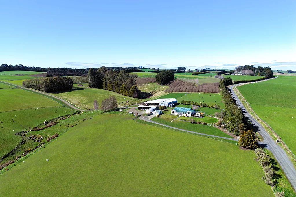 Tapanui  First Time on the Market