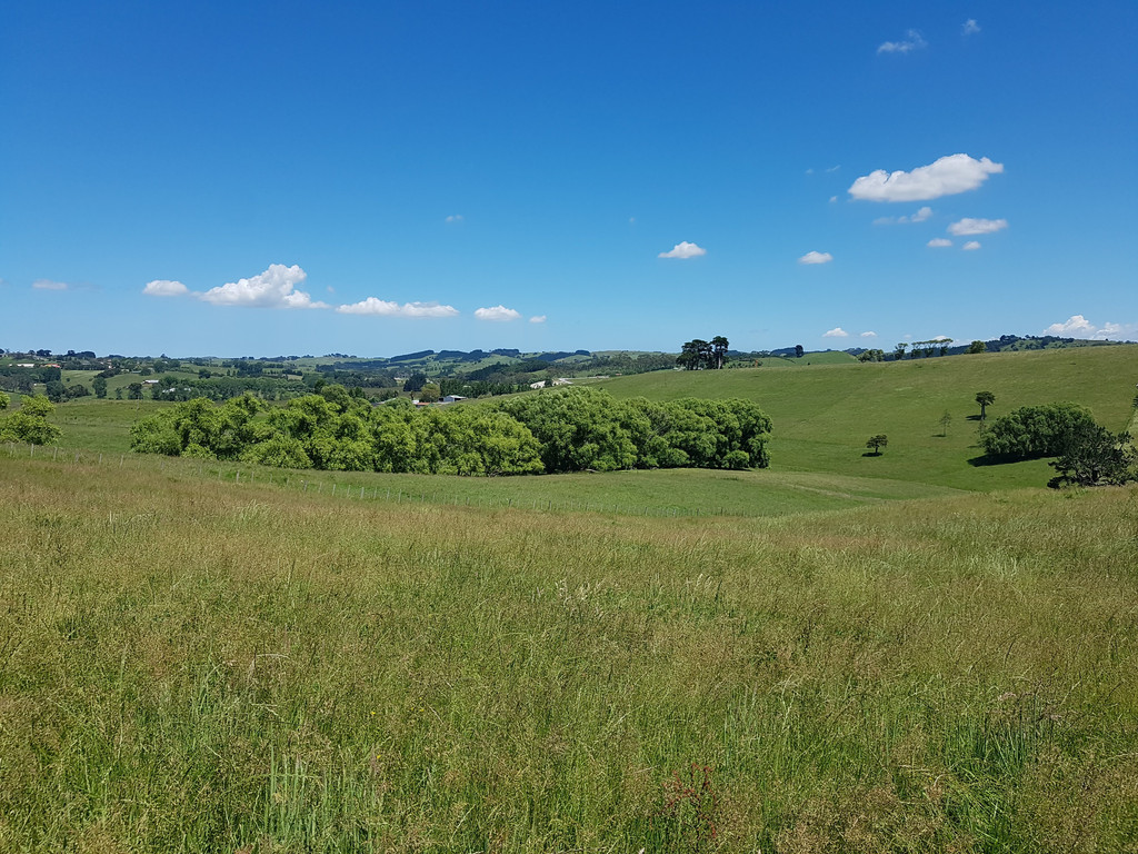 Petley Road, Paparoa, Kaipara, 0 침실, 1 욕실