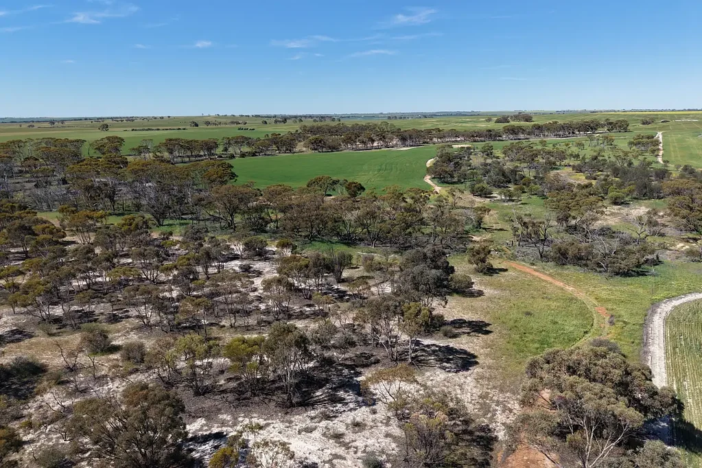 LOT 13854 Hillam Road, Watercarrin, WA 6407
