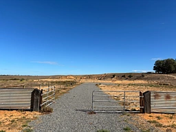 Lot 108 Bowmann Street, Wellington