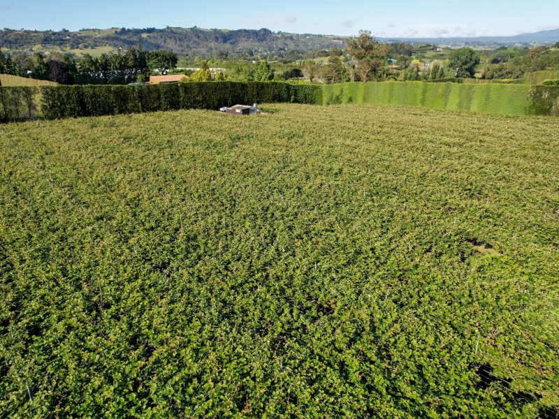 103 Te Puna Road, Te Puna, Bay Of Plenty, 0 rūma, 0 rūma horoi