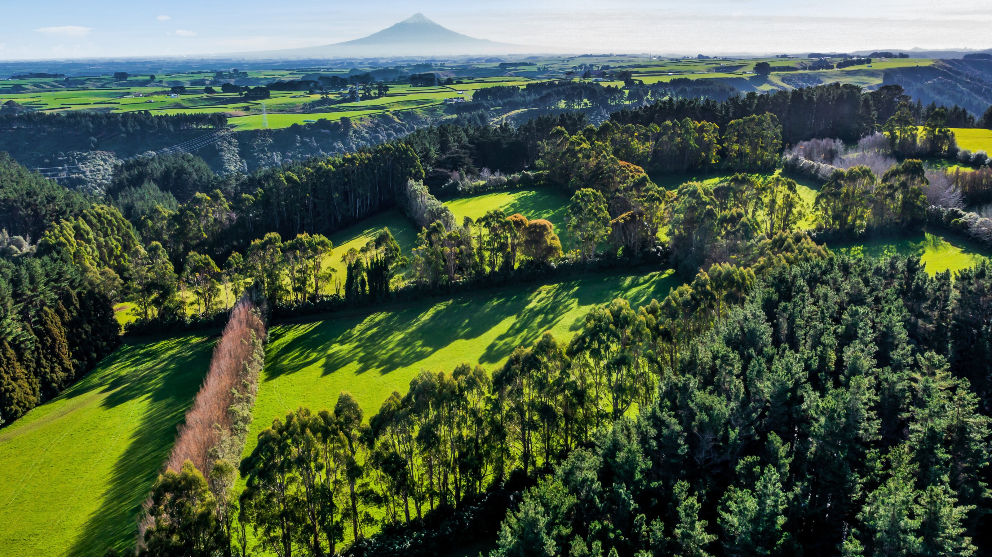 709 Ingahape Road, Ohangai, South Taranaki, 0房, 0浴, Grazing