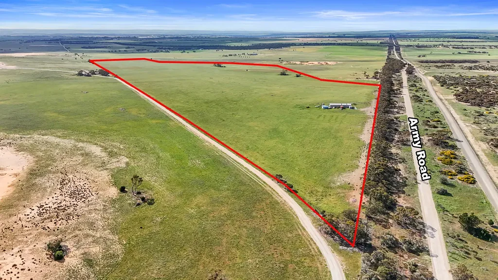 54 Army Road, Burdett, SA 5253