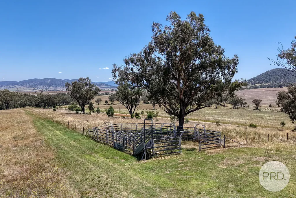 Werris Creek  Acres with a permanent income!