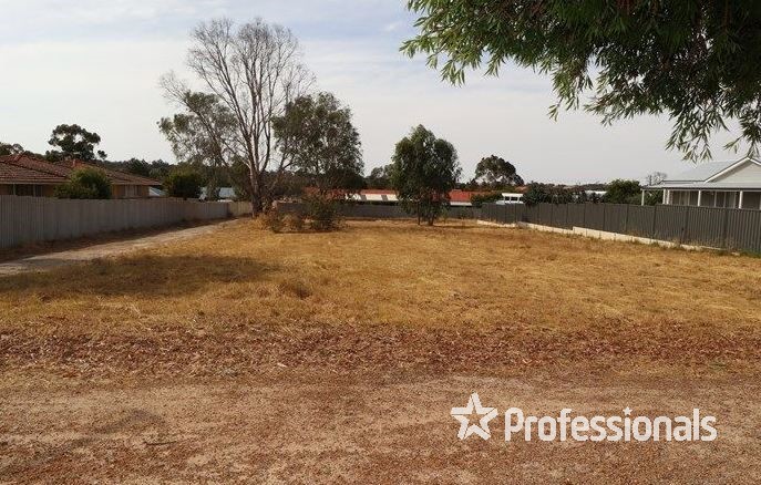 108 ENSIGN ST, NARROGIN WA 6312, 0 غرف, 0 حمامات, Section